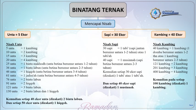 ZAKAT HARTA BINATANG TERNAK